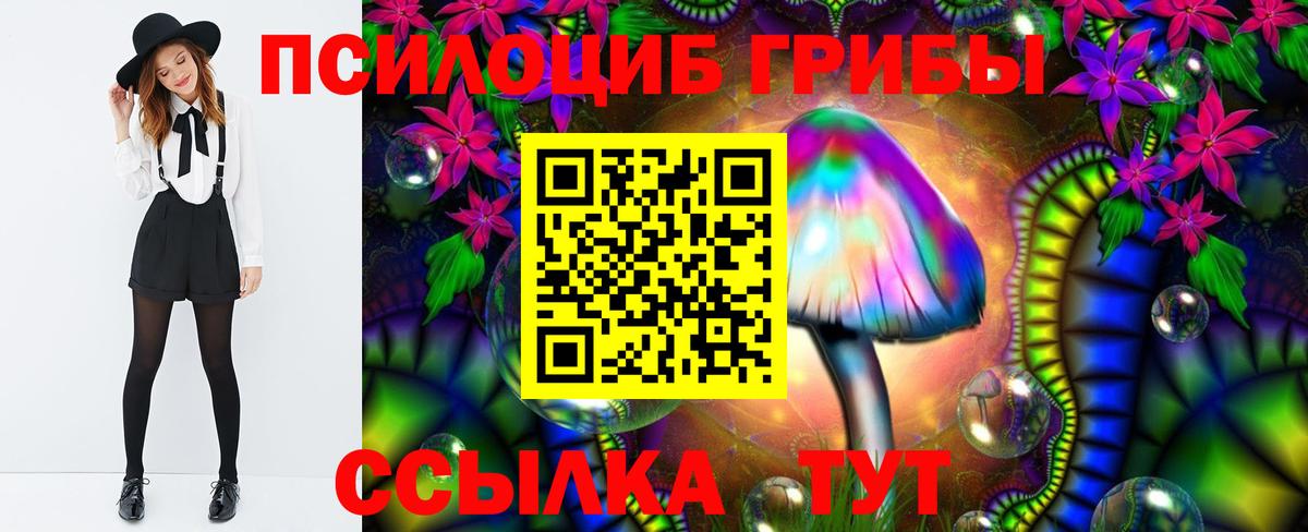 где можно купить   Галлюциногенные грибы ЛСД  Вход с VPN  Иркутск 